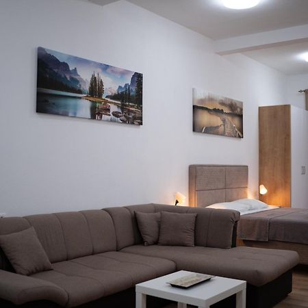 Dane Apartment Airport Podgorica Mitrovici  المظهر الخارجي الصورة